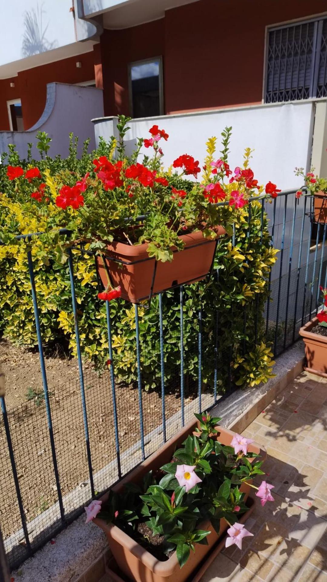 Rosa Apartment Bari