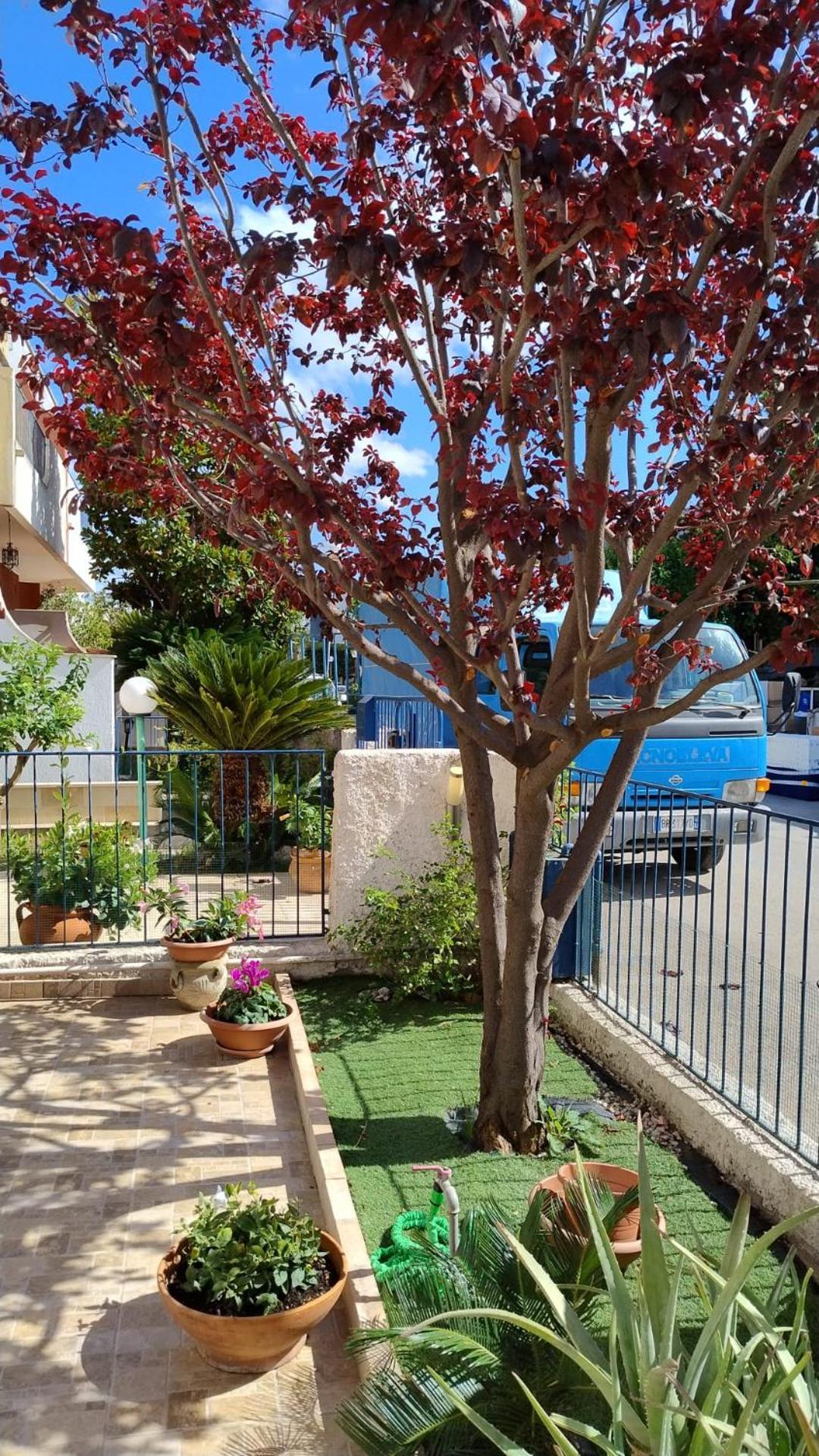 Apartment Rosa